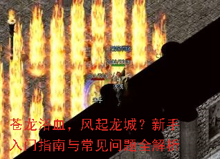 苍龙浴血,风起龙城?新手入门指南与常见问题全解析 苍龙浴血,风起龙城?新手入门指南与常见问题全解析