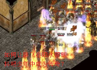 �����·���ھ�ˮ�ܲ����������г�Ϊ���棿