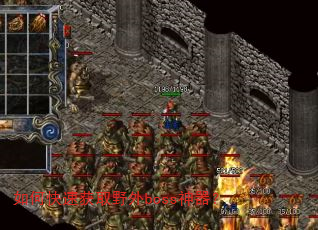 ��ο��ٻ�ȡҰ��boss������