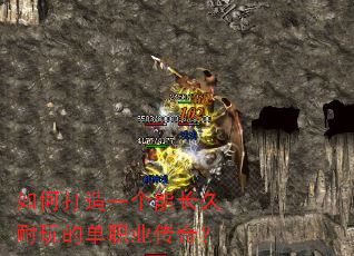 ��δ���һ���ܳ�������ĵ�ְҵ���棿