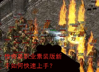 ���浥ְҵ��װ��������ο������֣�