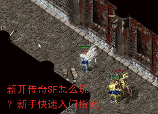 �¿�����SF��ô�棿���ֿ�������ָ��