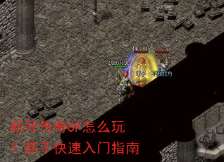 �¿�����SF��ô�棿���ֿ�������ָ��