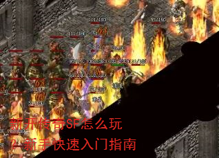 �¿�����SF��ô�棿���ֿ�������ָ��
