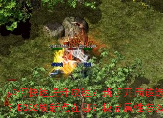 如何快速提升攻速?新手开局该选什么装备?BOSS刷新点在哪?极品属性怎么刷? 如何快速提升攻速?新手开局该选什么装备?BOSS刷新点在哪?极品属性怎么刷?
