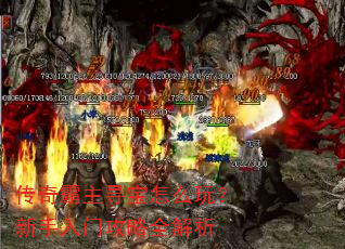 �������Ѱ����ô�棿�������Ź���ȫ����