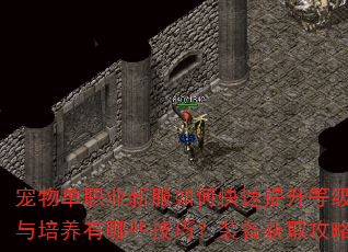 宠物单职业新服如何快速提升等级?宠物选择与培养有哪些技巧?装备获取攻略是什么? 宠物单职业新服如何快速提升等级?宠物选择与培养有哪些技巧?装备获取攻略是什么?