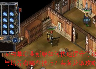 宠物单职业新服如何快速提升等级?宠物选择与培养有哪些技巧?装备获取攻略是什么? 宠物单职业新服如何快速提升等级?宠物选择与培养有哪些技巧?装备获取攻略是什么?