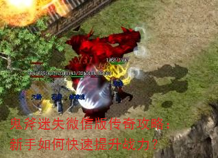 ������ʧ΢�Ű洫�湥�ԣ�������ο�������ս����