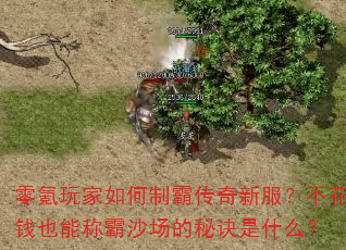 零氪玩家如何制霸传奇新服?不花钱也能称霸沙场的秘诀是什么? 零氪玩家如何制霸传奇新服?不花钱也能称霸沙场的秘诀是什么?