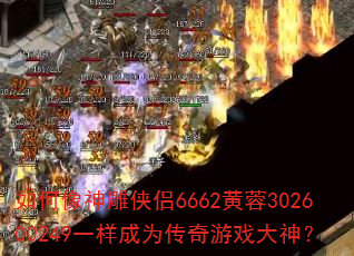 ������������6662����302600249һ����Ϊ������Ϸ����