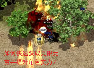 如何快速获取无限元宝并提升角色实力? 如何快速获取无限元宝并提升角色实力?