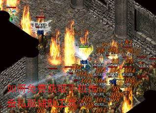 �����ѻ�ȡ�ֻ�����˽���������ߣ�