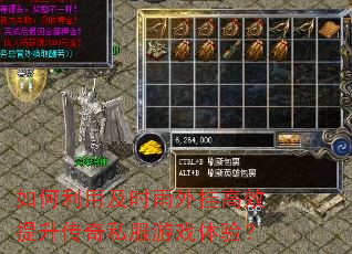 ������ü�ʱ����Ҹ�Ч��������˽����Ϸ���飿
