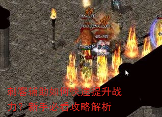 刺客辅助如何快速提升战力?新手必看攻略解析 刺客辅助如何快速提升战力?新手必看攻略解析