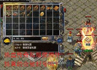 ��Ѫ����˽��ʹ�������Ļᱻ�����