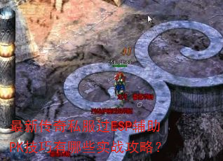 ���´���˽����ESP����PK��������Щʵս���ԣ�