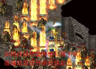 如何选择热血传奇私服手机版辅助器提升游戏体验? 如何选择热血传奇私服手机版辅助器提升游戏体验?