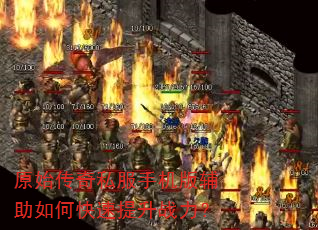 ԭʼ����˽���ֻ��渨����ο�������ս����