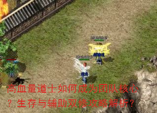 ��Ѫ����ʿ��γ�Ϊ�ŶӺ��ģ������븨��˫�޹��Խ�����