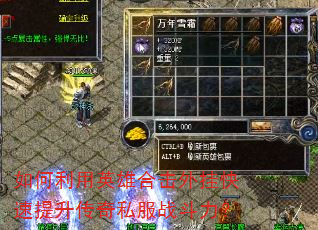 �������Ӣ�ۺϻ���ҿ�����������˽��ս������