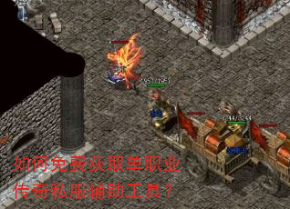 �����ѻ�ȡ��ְҵ����˽���������ߣ�