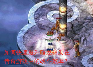 如何快速提升暗龙辅助在传奇游戏中的战斗效率? 如何快速提升暗龙辅助在传奇游戏中的战斗效率?