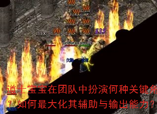 道士宝宝在团队中扮演何种关键角色?如何最大化其辅助与输出能力? 道士宝宝在团队中扮演何种关键角色?如何最大化其辅助与输出能力?