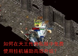如何在天王传奇私服中免费使用挂机辅助高效升级? 如何在天王传奇私服中免费使用挂机辅助高效升级?
