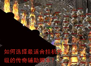���ѡ�����ʺϹһ������Ĵ��渨���ű���