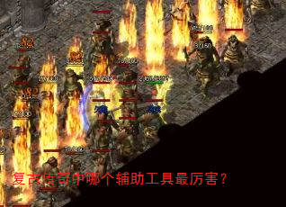 ���Ŵ������ĸ�����������������