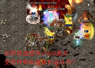 ��ο�������sf666�¿���̬����˽����ɫս������