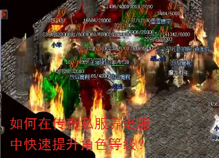 如何在传奇私服养老服中快速提升角色等级? 如何在传奇私服养老服中快速提升角色等级?