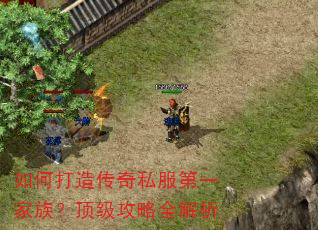 如何打造传奇私服第一家族?顶级攻略全解析 如何打造传奇私服第一家族?顶级攻略全解析