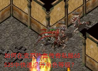 如何在变态热血传奇私服65535中快速提升角色等级? 如何在变态热血传奇私服65535中快速提升角色等级?