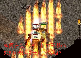 如何在变态热血传奇私服65535中快速提升角色等级? 如何在变态热血传奇私服65535中快速提升角色等级?