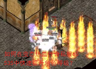 如何在变态热血传奇私服65535中快速提升角色等级? 如何在变态热血传奇私服65535中快速提升角色等级?