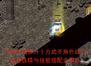 如何快速提升十方武圣角色战力?装备选择与技能搭配全解析 如何快速提升十方武圣角色战力?装备选择与技能搭配全解析
