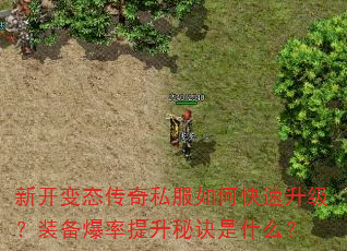 新开变态传奇私服如何快速升级?装备爆率提升秘诀是什么? 新开变态传奇私服如何快速升级?装备爆率提升秘诀是什么?