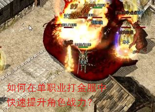 ����ڵ�ְҵ�����п���������ɫս����