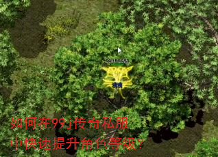 �����99j����˽���п���������ɫ�ȼ���