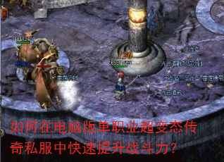 ����ڵ��԰浥ְҵ����̬����˽���п�������ս������