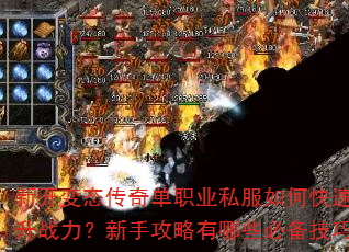 �¿���̬���浥ְҵ˽����ο�������ս�������ֹ�������Щ�ر����ɣ�