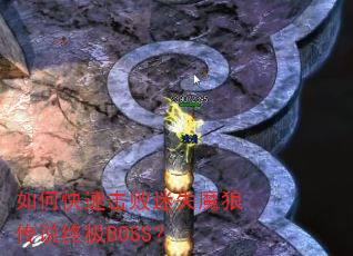 ��ο��ٻ�����ʧħ�Ǵ�˵�ռ�BOSS��