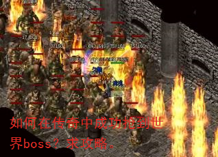 ����ڴ����гɹ���������boss�����ԡ�