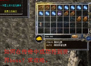 ����ڴ����гɹ���������boss�����ԡ�