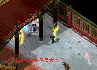 ��ε����������������棿