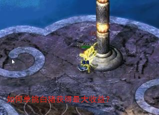 ��ε����������������棿