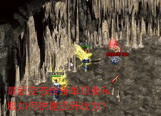 ���±�̬���浥ְҵ˽����ο�������ս����