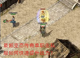 ���±�̬���浥ְҵ˽����ο�������ս����